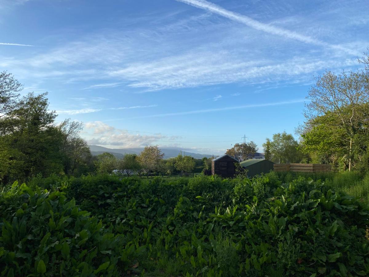 Cosy Double Shepherds Hut In Beautiful Wicklow With Underfloor Heating Throughout Rathnew 외부 사진